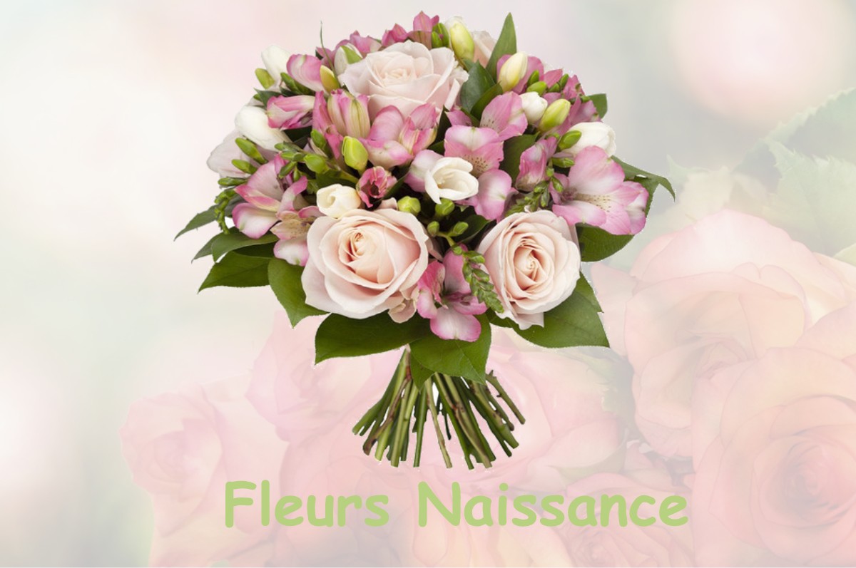 fleurs naissance MAILLY-MAILLET